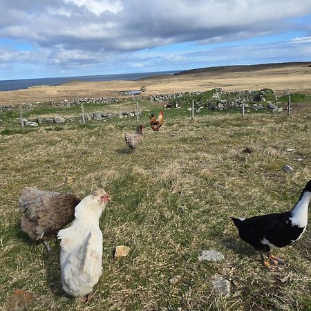 Squealing Pig Bothy Vila Barvas Exterior foto