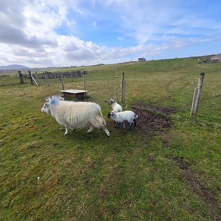 Squealing Pig Bothy Vila Barvas Exterior foto