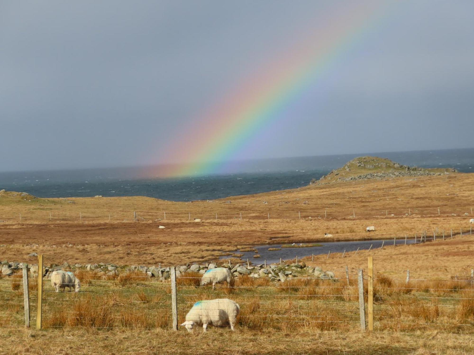 Squealing Pig Bothy Vila Barvas Exterior foto